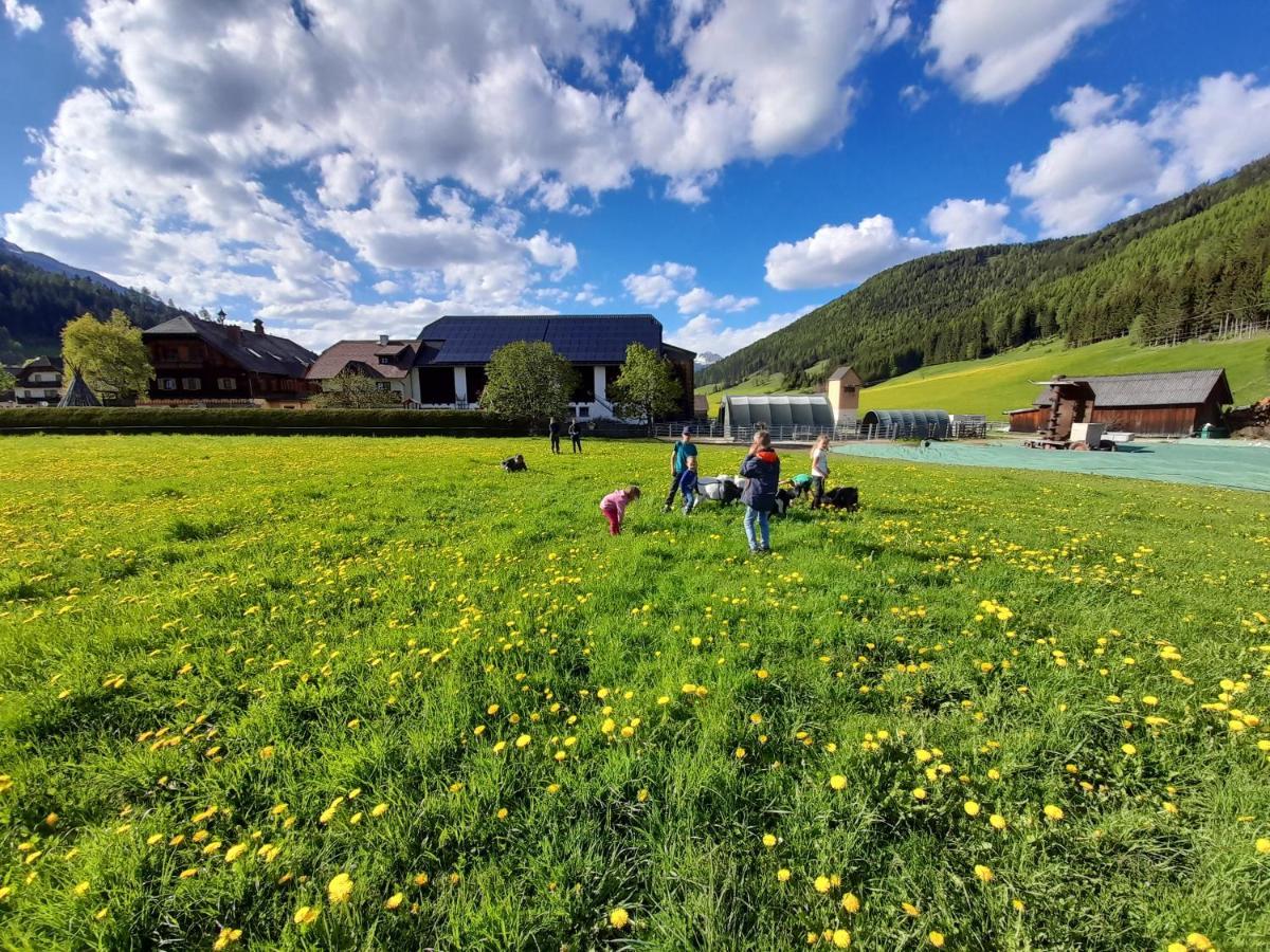 Sonnenchalet Neusess Mauterndorf  Buitenkant foto